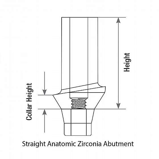 ���� �������� ���� ������ ��� 1-3 �"� DSI STRAIGHT ANATOMIC ZIRCONIA ABUTMENT NP ?3.5mm