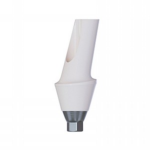 ���� �������� ���� ������ ������ 15� 1.5-3 �"� DSI ANGULATED ANATOMIC ZIRCONIA ABUTMENT NP ?3.5mm