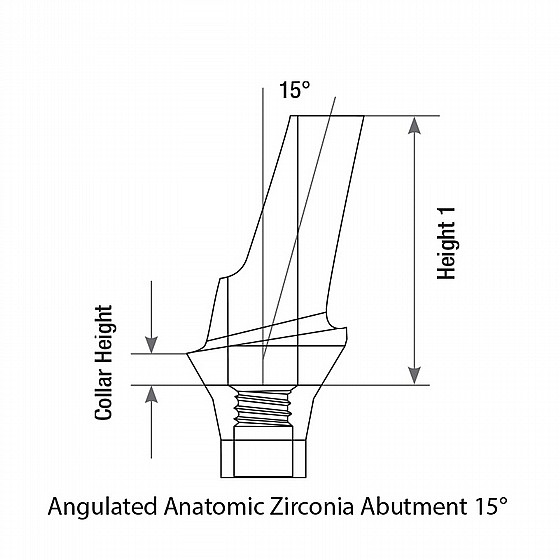 ���� �������� ���� ������ ������ 15� 1.5-3 �"� DSI ANGULATED ANATOMIC ZIRCONIA ABUTMENT NP ?3.5mm