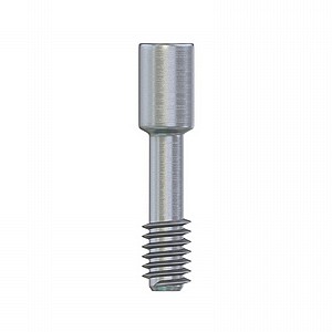 ���� ����� ���� DSI ABUTMENT FIXATION SCREW NP ?3.5mm