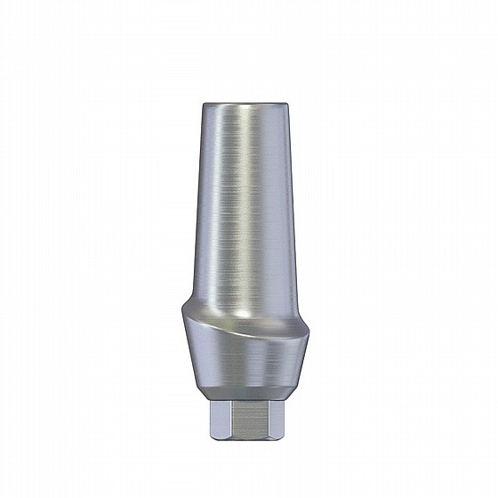 ���� ������ ��� 1-4 �"� ����� 2.42 �"� DSI ANATOMIC STRAIGHT ABUTMENT