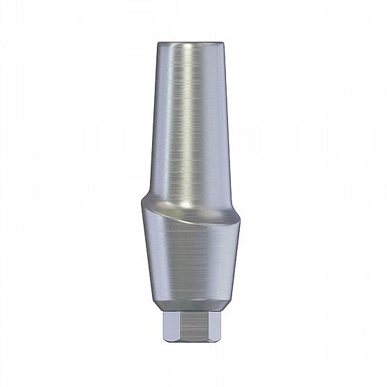 ���� ������ ��� 1-4 �"� ����� 2.42 �"� DSI ANATOMIC STRAIGHT ABUTMENT