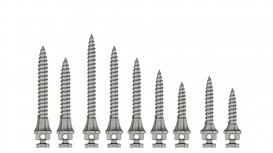 ���� ���� ���������� ������ 1.5/2.0 ���� DSI TAD Orthodontic Mini Implant Screw Absolute Anchorage