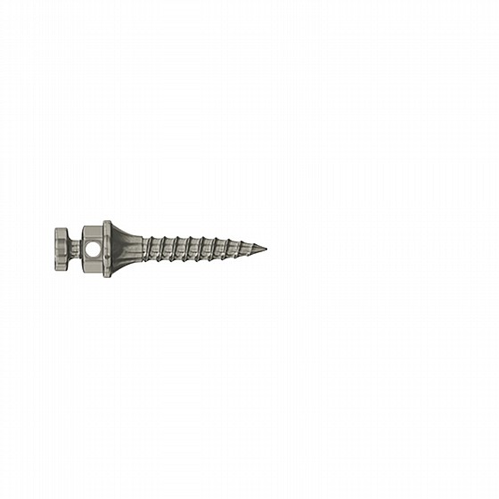 ����� ��� ���������� ������ DSI TAD Orthodontic Mini Implant Screw Absolute Anchorage