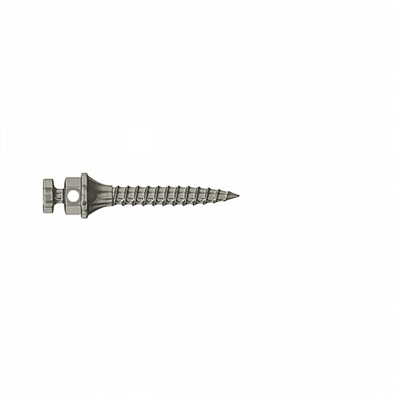 ����� ��� ���������� ������ DSI TAD Orthodontic Mini Implant Screw Absolute Anchorage