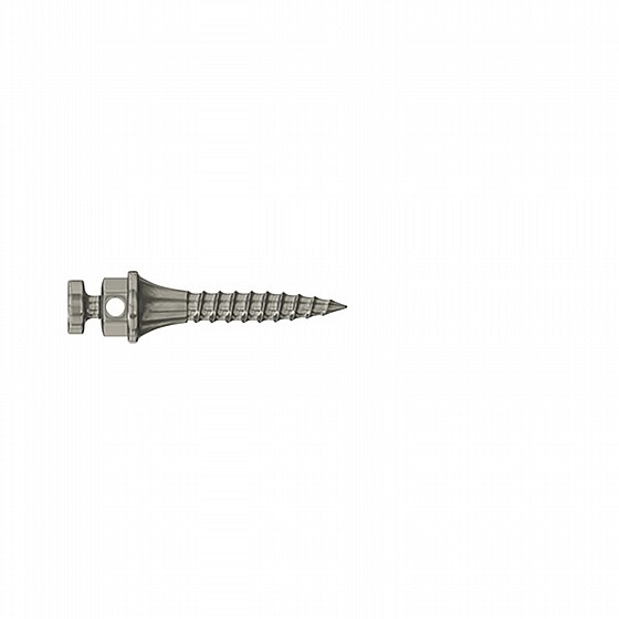 ����� ��� ���������� ������ DSI TAD Orthodontic Mini Implant Screw Absolute Anchorage