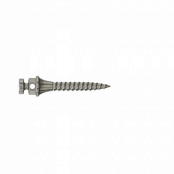 ����� ��� ���������� ������ DSI TAD Orthodontic Mini Implant Screw Absolute Anchorage