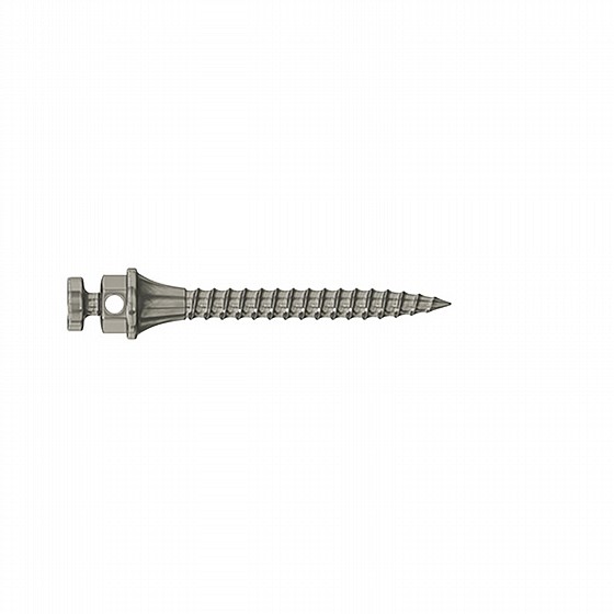 ����� ��� ���������� ������ DSI TAD Orthodontic Mini Implant Screw Absolute Anchorage