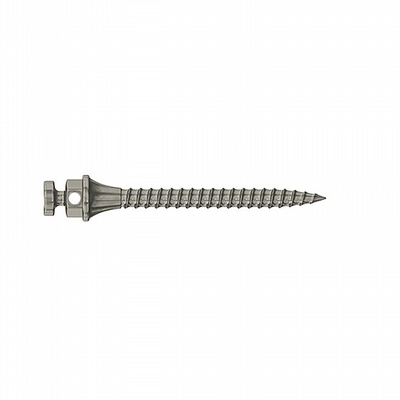 ����� ��� ���������� ������ DSI TAD Orthodontic Mini Implant Screw Absolute Anchorage