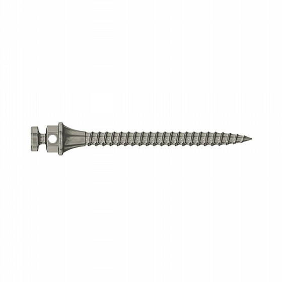 ����� ��� ���������� ������ DSI TAD Orthodontic Mini Implant Screw Absolute Anchorage