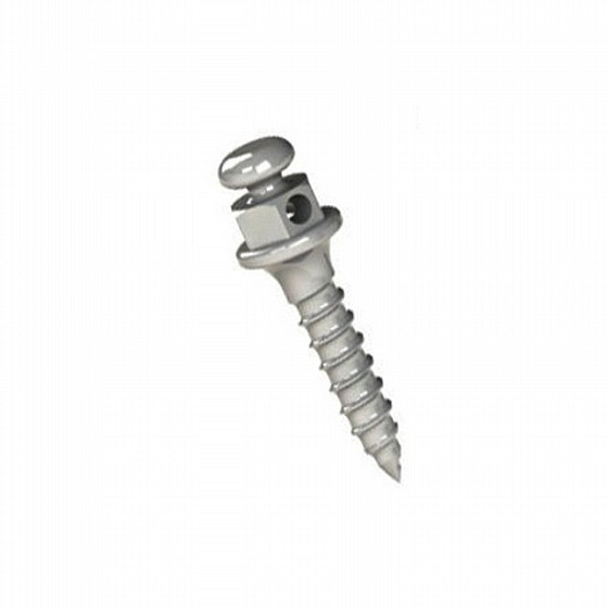 ����� ��� ���������� ������ DSI TAD Orthodontic Mini Implant Screw Absolute Anchorage