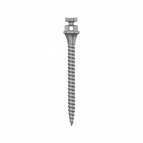 ���� ���� ���������� ������ ?1.5�� DSI TAD Orthodontic Mini Implant Screw Absolute Anchorage