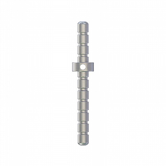 ��� ������ �������� ��-���� DSI Parallel Pin Double Side 22mm