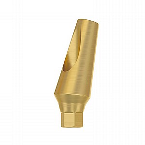 ���� ���� ������ 15� DSI ANGULATED 15� ABUTMENT ?NP3.5mm