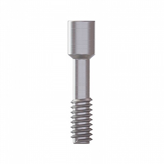 ���� ����� ���/������ �������� ����� DSI Fixation Screw for Abutments Regular Platform