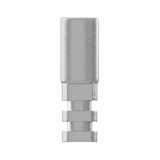 ��� ������� ��� ��������� ����� DSI PROSTHETIC KIT REGULAR PLATFORM