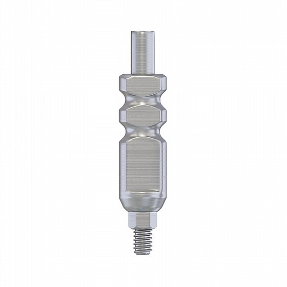 ��� ������� ��� ��������� ����� DSI PROSTHETIC KIT REGULAR PLATFORM