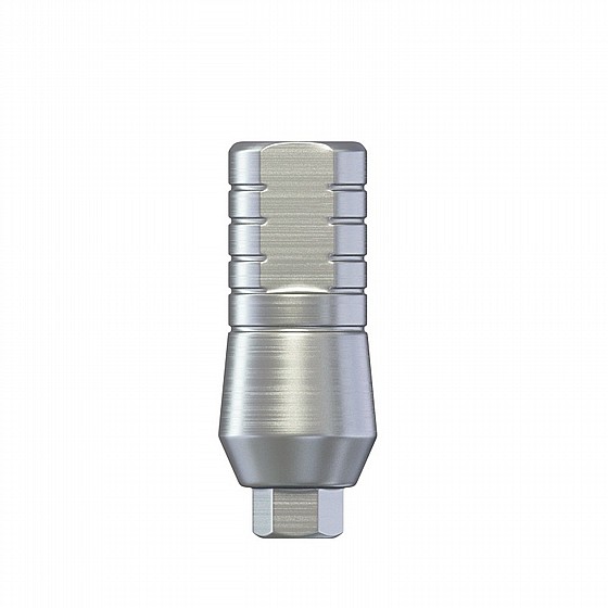 ��� ������� ��� ��������� ����� DSI PROSTHETIC KIT REGULAR PLATFORM