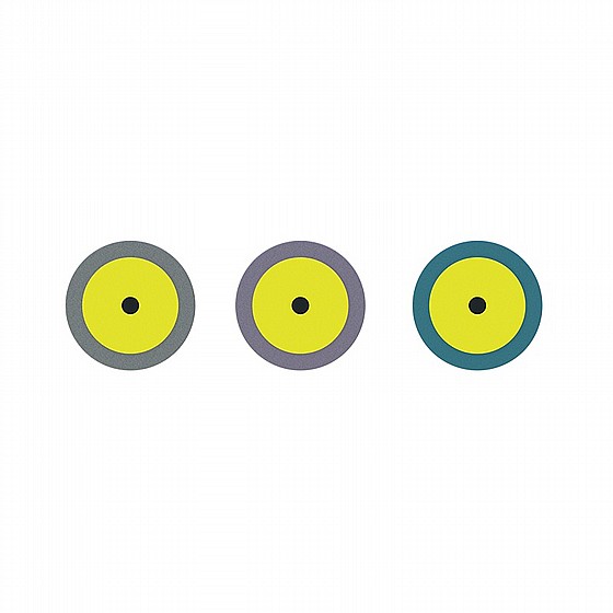 ���� ����� ������ ������� DSI Diamond Impregnated Polishing Disc