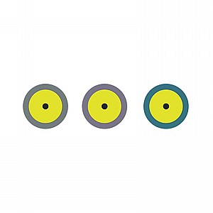 ���� ����� ������ ������� DSI Diamond Impregnated Polishing Disc