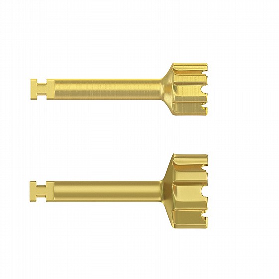 ���� ���� ����� ����� DSI Sinus Lifting Lateral Approach Side Cutter