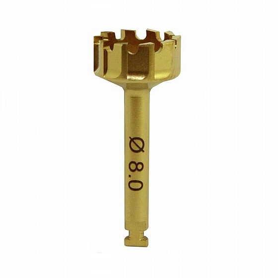 ���� ���� ����� ����� DSI Sinus Lifting Lateral Approach Side Cutter