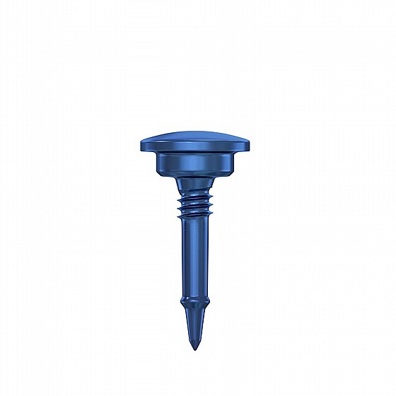 ���� GBR ��������� ������ ������ 5.0 �"� + ���� DSI GBR Bone Tack Membrane Fixation with Case 