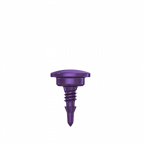 ���� GBR ��������� ������ ������ 3.5 �"� + ���� DSI GBR Bone Tack Membrane Fixation with Case 