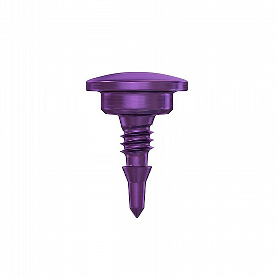 ���� GBR ��������� ������ ������ 3.5 �"� DSI GBR Bone Tack Membrane Fixation 
