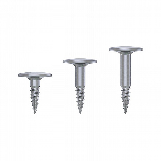 ���� GBR ������� ������ ������ DSI Bone Tenting Screw Half Thread