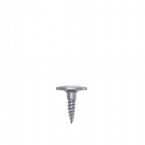 ���� GBR ������� ������ ������ DSI Bone Tenting Screw Half Thread