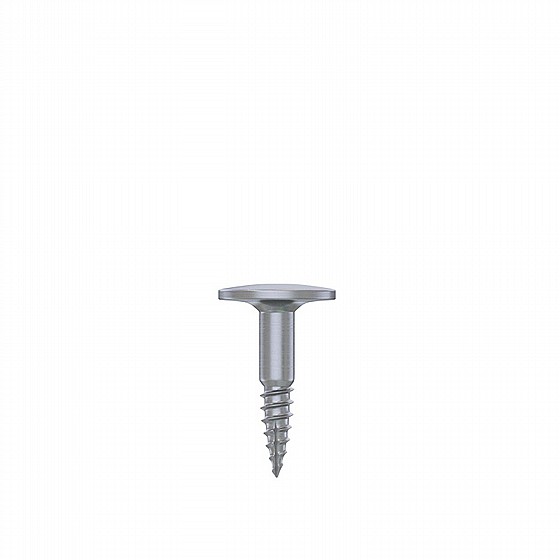 ���� GBR ������� ������ ������ DSI Bone Tenting Screw Half Thread
