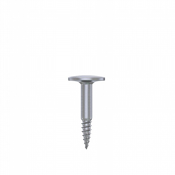 ���� GBR ������� ������ ������ DSI Bone Tenting Screw Half Thread
