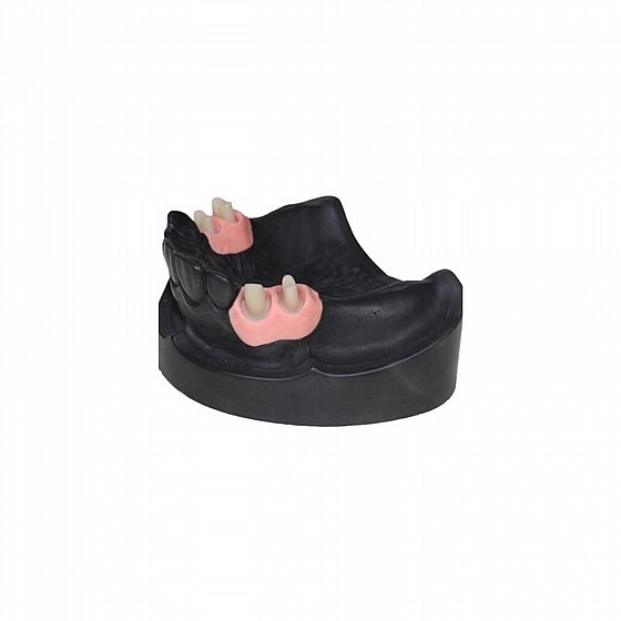 ���� ������� ��� ������ ������ ������ �� ������� FeguraMed Gingival Mask
