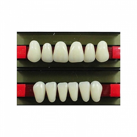������ ������ ������, 28 ��, ���� Wunderlux Artificial Acrylic Teeth A1