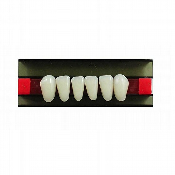 ������ ������ ������, 28 ��, ���� Wunderlux Artificial Acrylic Teeth A1