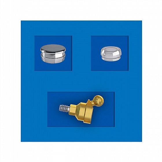 ��� ����� ��� ������ 30 ����� DSI Angulated Ball Attachment 18� Basic Kit FDA APPROVED