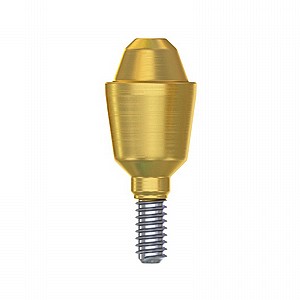 ���� ������ �����-����� ��� DSI Straight Multi-Unit Premium Abutment 1.6m