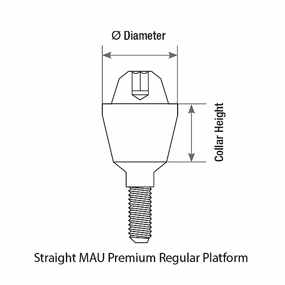���� ������ �����-����� ��� DSI Straight Multi-Unit Premium Abutment 1.6m
