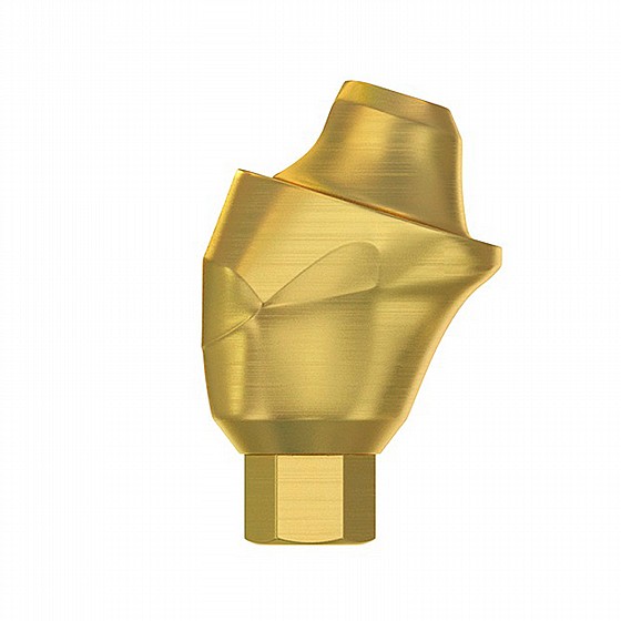 ���� ������ ������ ��� 2.42�� �����-����� ������ 17� DSI Angulated Multi-Unit Premium Abutment 1.6m