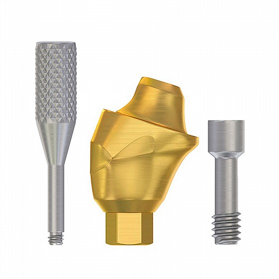 ���� ������ ������ ��� 2.42�� �����-����� ������  17� ���� ���� ������ DSI Angulated Multi-Unit Premium Abutment 1.6m