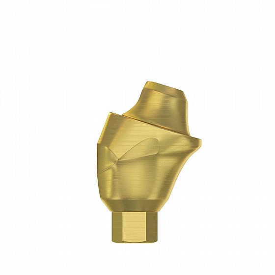 ���� ������ �����-����� ������ 17� DSI Angulated Multi-Unit Premium Abutment 1.6m 