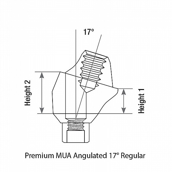 ���� ������ �����-����� ������ 17� DSI Angulated Multi-Unit Premium Abutment 1.6m 