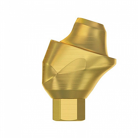 ���� ������ ������ ��� 2.42�� �����-����� ������ DSI Angulated Multi-Unit Premium Abutment 1.6m 30�