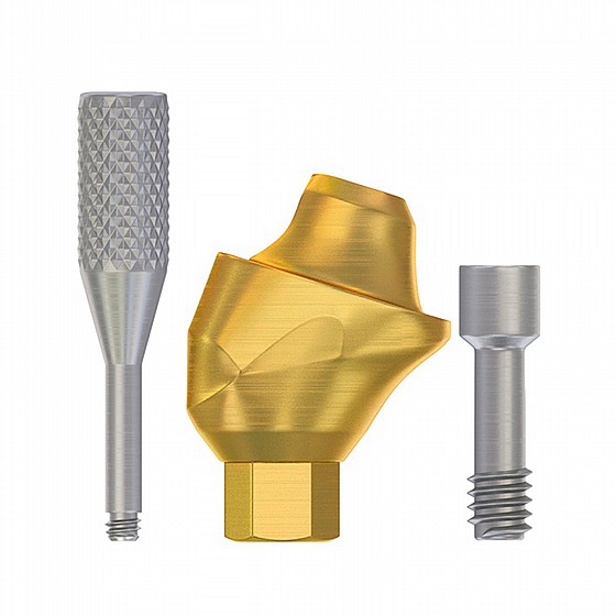 ���� ������ ������ ��� 2.42�� �����-����� ������ 30� ���� ���� ������ DSI Angulated Multi-Unit Premium Abutment 1.6m