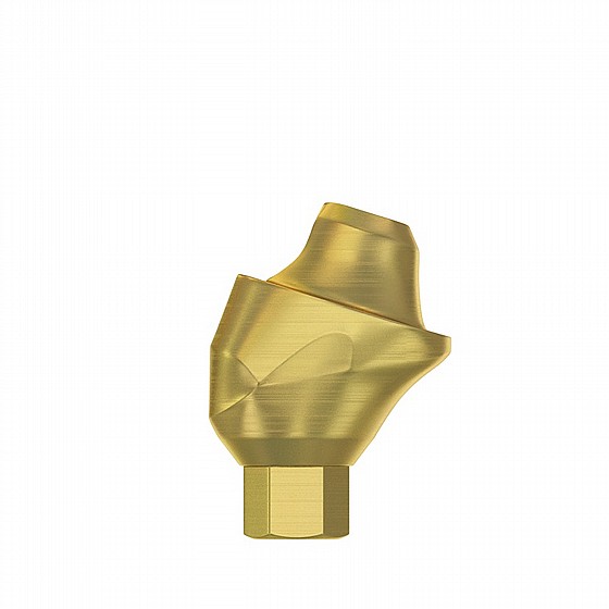 ���� ������ �����-����� ������ DSI Angulated Multi-Unit Premium Abutment 1.6m 30�