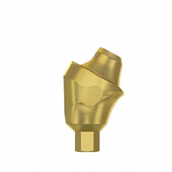  ���� ������ �����-����� �� ������ 17� DSI Angulated Multi-Unit Premium Slim Abutment 1.6m