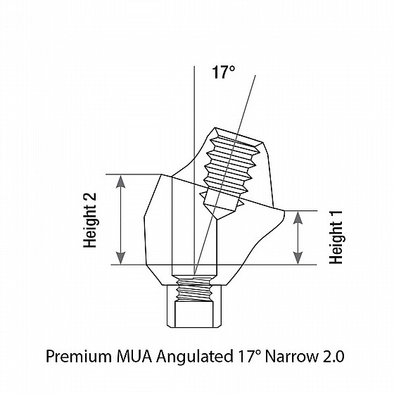  ���� ������ �����-����� �� ������ 17� DSI Angulated Multi-Unit Premium Slim Abutment 1.6m