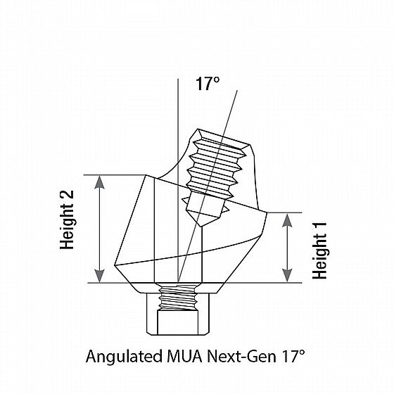 ���� �����-����� ���� �� ������ 17� DSI Angulated Multi-Unit Next Gen Abutment 1.7m