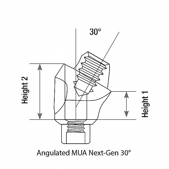  ���� �����-����� ���� �� ������ 30� DSI Angulated Multi-Unit Next Gen Abutment 1.7m